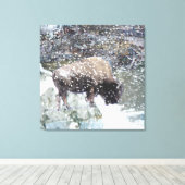 Buffalo im Schneesturm überwundene Leinwand Print (Insitu (Holzboden))