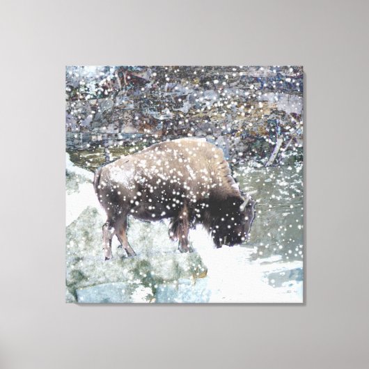 Buffalo im Schneesturm überwundene Leinwand Print (Vorderseite)