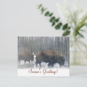 Buffalo in der Schneesaison Postkarte (Stehend Vorderseite)
