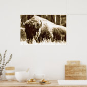 Buffalo in Yellowstone Poster (Küche)