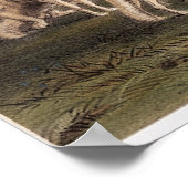 Buffalo-Jagd, weiße Wölfe greifen ein Buffalo an Poster (Ecke)