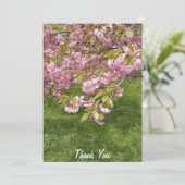 Buffalo Japanischer Garten rosa Kirschblossom Dankeskarte (Stehend Vorderseite)