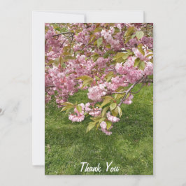 Buffalo Japanischer Garten rosa Kirschblossom Dankeskarte