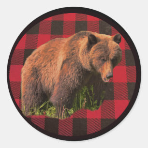 Buffalo Kariert Brown Bear Round Sticker