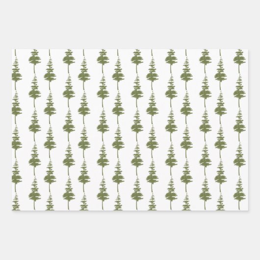 Buffalo Karo Bull Moose Geschenkpapier Set (Vorderseite 3)