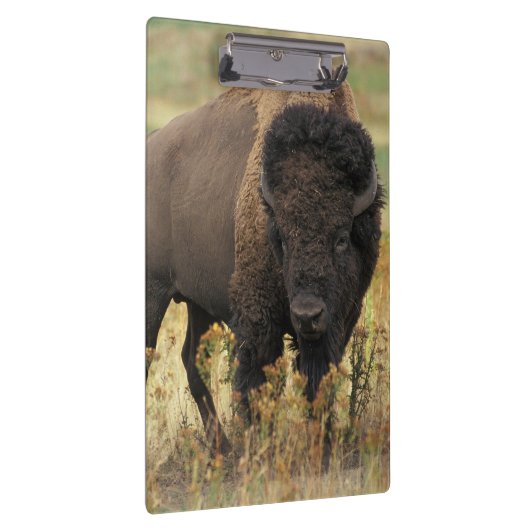 Buffalo Klemmbrett (Rechts)