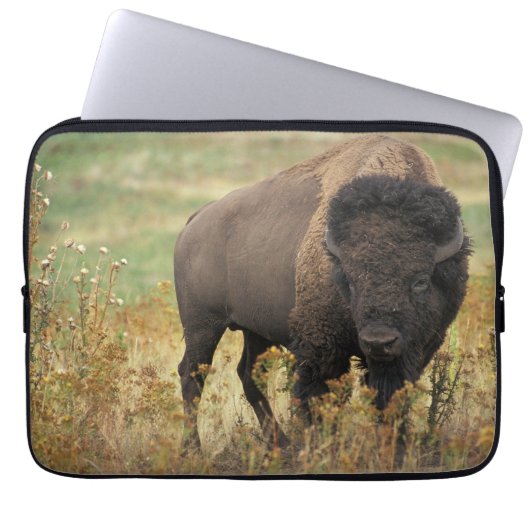 Buffalo Laptopschutzhülle (Vorderseite)