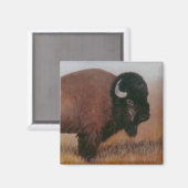Buffalo Magnet (Vorderseite/Rückseite)