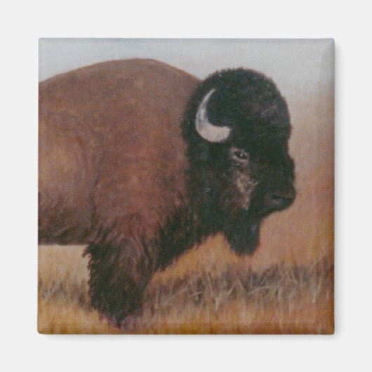 Buffalo Magnet (Vorne)