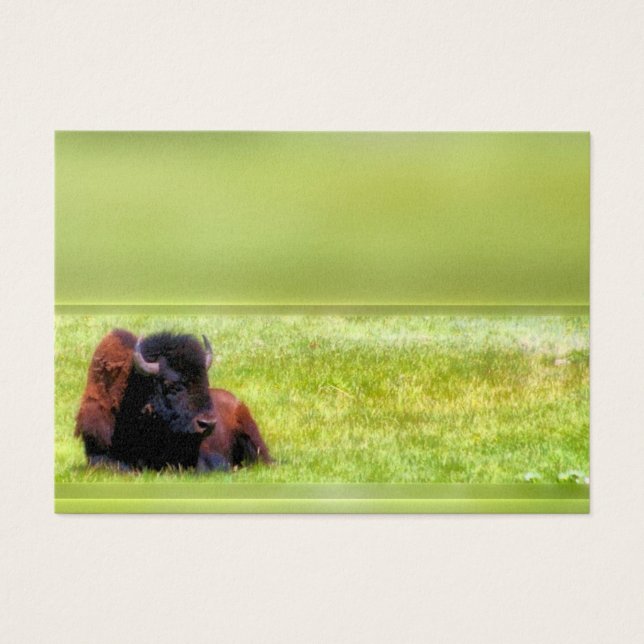 Buffalo Meadow (Vorderseite)
