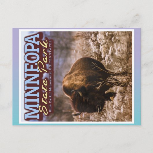 BUFFALO - MINNEOPA STAAT PARK - MINNESOTA USA POSTKARTE (Vorderseite)