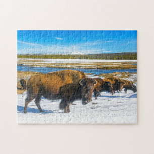 Buffalo Montana. Puzzle