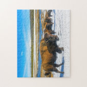 Buffalo Montana. Puzzle (Vertikal)