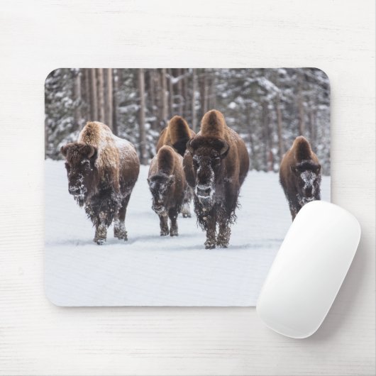 Buffalo Mousepad (Mit Mouse)