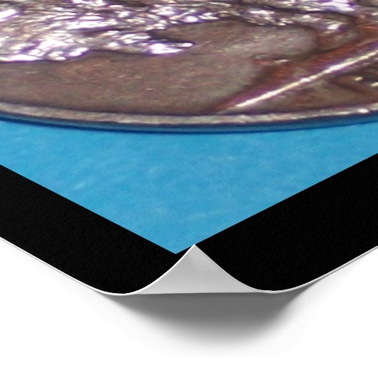 BUFFALO NICKLE POSTER (Ecke)