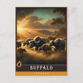 Buffalo | Niedliche Vintage Tierpostkarte Postkarte (Vorderseite)