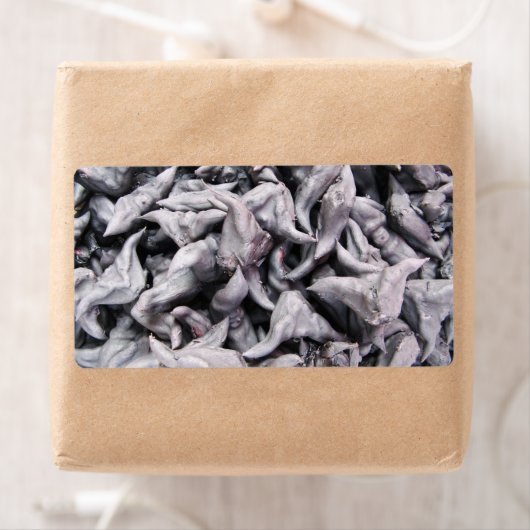 Buffalo Nuts - Water Caltrop (Insitu)