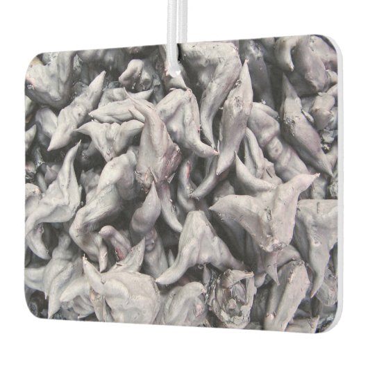 Buffalo Nuts - Water Caltrop Autolufterfrischer (Links)