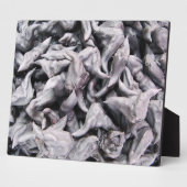 Buffalo Nuts - Water Caltrop Fotoplatte (Seite)