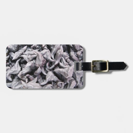 Buffalo Nuts - Water Caltrop Gepäckanhänger (Vorderseite horizontal)