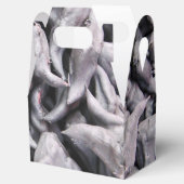 Buffalo Nuts - Water Caltrop Geschenkschachtel (Geöffnet)