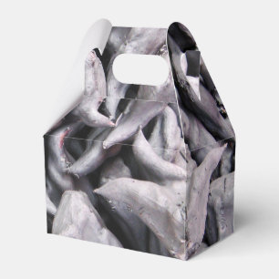 Buffalo Nuts - Water Caltrop Geschenkschachtel