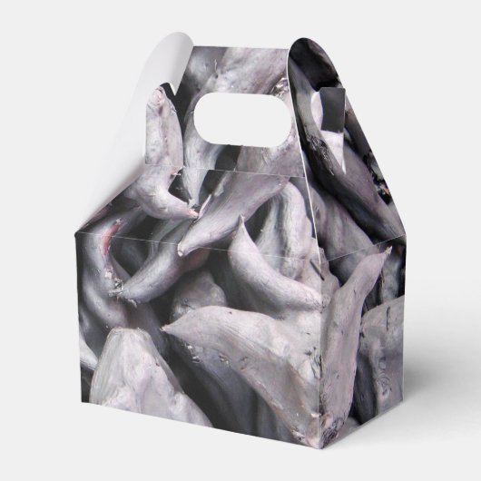 Buffalo Nuts - Water Caltrop Geschenkschachtel (Vorderseite)