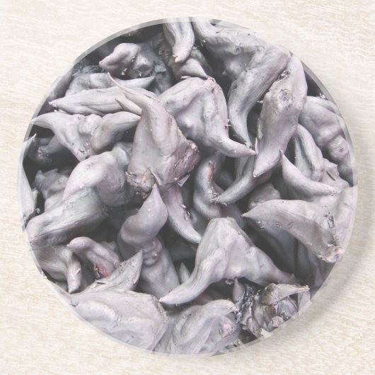 Buffalo Nuts - Water Caltrop Getränkeuntersetzer (Vorne)