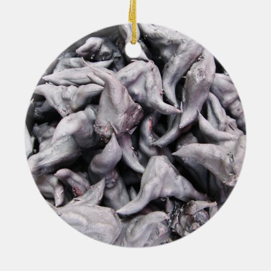 Buffalo Nuts - Water Caltrop Keramik Ornament (Hinten)