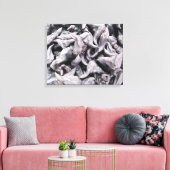 Buffalo Nuts - Water Caltrop Leinwanddruck (Insitu (Wohnzimmer))