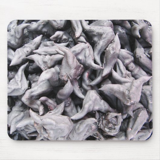 Buffalo Nuts - Water Caltrop Mousepad (Vorne)