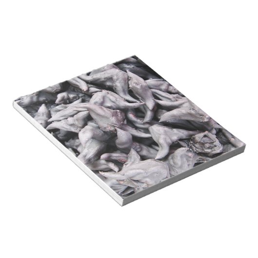 Buffalo Nuts - Water Caltrop Notizblock (angewinkelt)