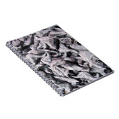 Buffalo Nuts - Water Caltrop Notizblock (Rechte Seite)