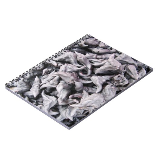 Buffalo Nuts - Water Caltrop Notizblock (Linke Seite)