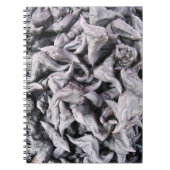 Buffalo Nuts - Water Caltrop Notizblock (Vorderseite)