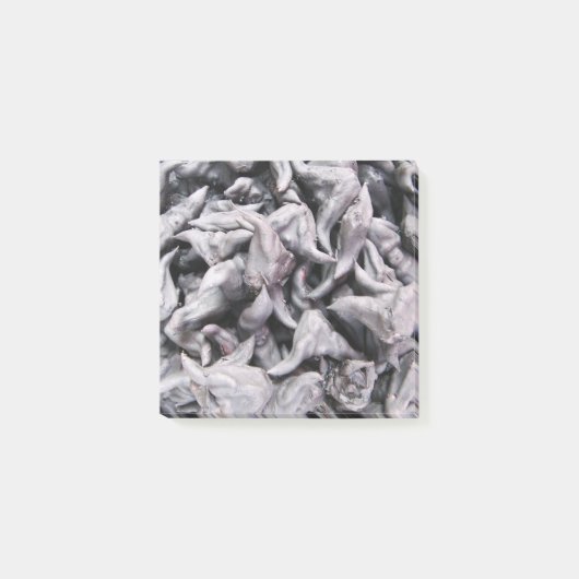 Buffalo Nuts - Water Caltrop Post-it Klebezettel (Vorderseite)