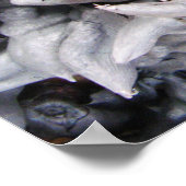 Buffalo Nuts - Water Caltrop Poster (Ecke)