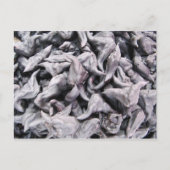 Buffalo Nuts - Water Caltrop Postkarte (Vorderseite)