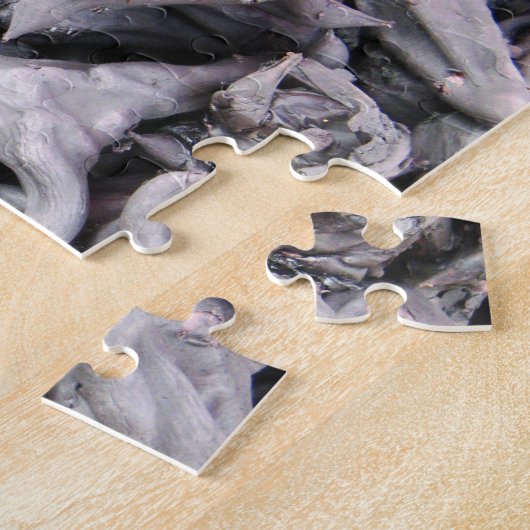 Buffalo Nuts - Water Caltrop Puzzle (Seite)