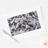 Buffalo Nuts - Water Caltrop Rechteckiger Aufkleber (Umschlag)