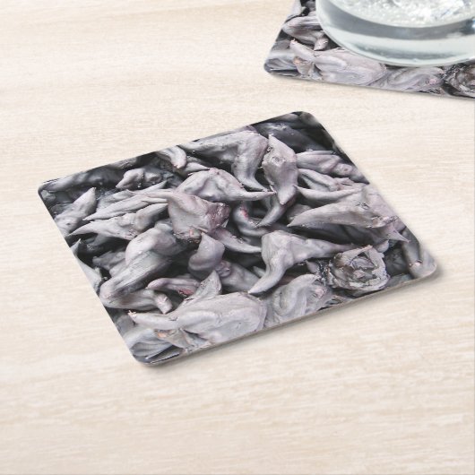Buffalo Nuts - Water Caltrop Rechteckiger Pappuntersetzer (angewinkelt)