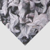 Buffalo Nuts - Water Caltrop Seidenpapier (Ausschnitt)
