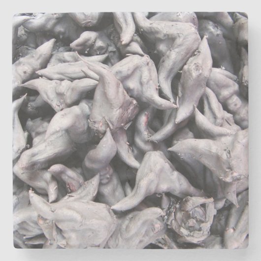 Buffalo Nuts - Water Caltrop Steinuntersetzer (Vorderseite)