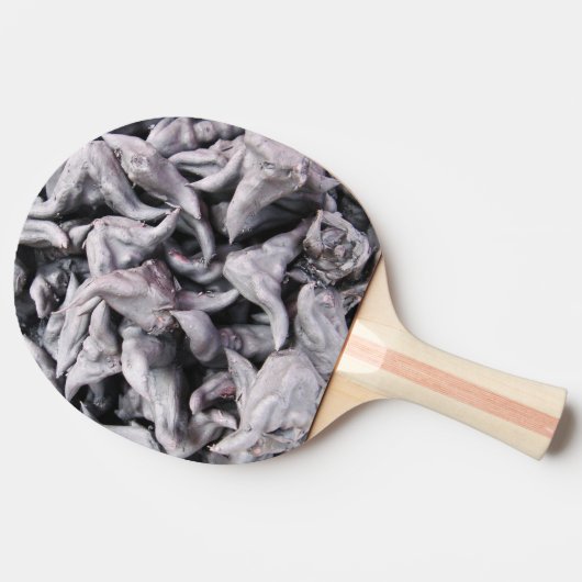 Buffalo Nuts - Water Caltrop Tischtennis Schläger (Seitenansicht)