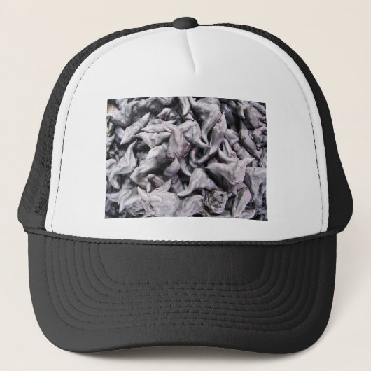 Buffalo Nuts - Water Caltrop Truckerkappe (Vorderseite)