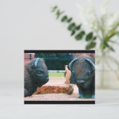 Buffalo NY Postkarte (Stehend Vorderseite)