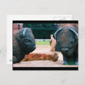 Buffalo NY Postkarte (Vorne/Hinten)