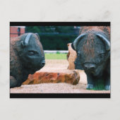 Buffalo NY Postkarte (Vorderseite)