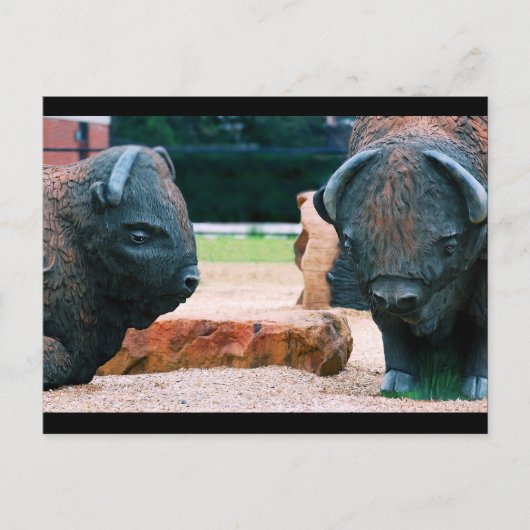 Buffalo NY Postkarte (Vorderseite)