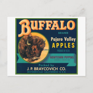 Buffalo Pajaro Valley Äpfel Vintages Kratetikett Postkarte